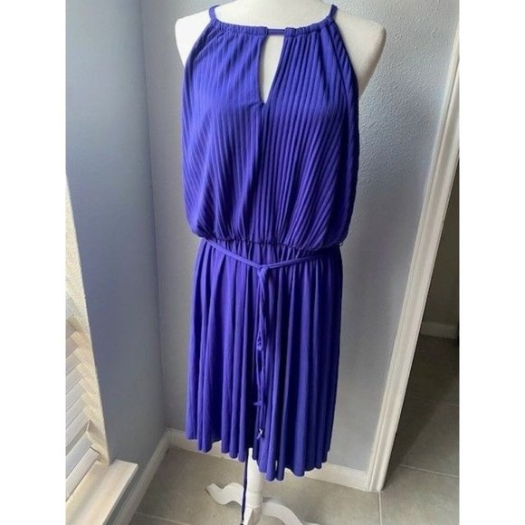 Lane Bryant Dresses & Skirts - Lane Bryant Boat Neck Purple Shift Flare Dress with Pleating and Belt - Size XL